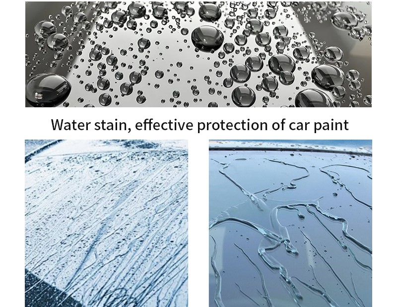 hydrophobic vs hydrophilic ppf with water beading and water spreading comparison for automotive paint protection film