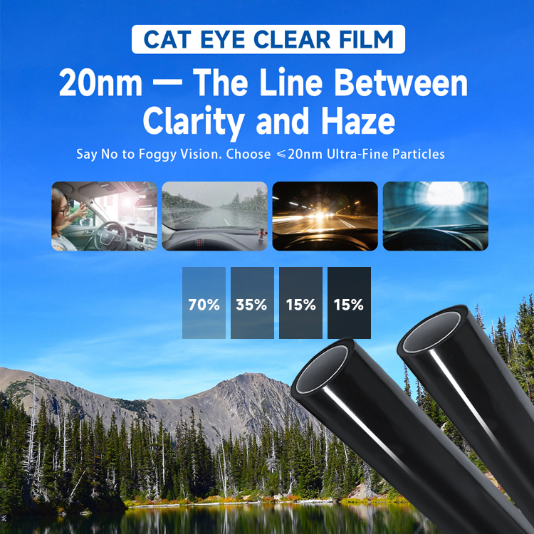 Cat Eye Window Film comparison showing reduced glare and clearer driving visibility